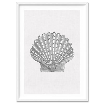 Sea Shells in Grey | Lions Paw Scallop - Art Print, Poster, Stretched Canvas, or Framed Wall Art Print, shown in a white frame