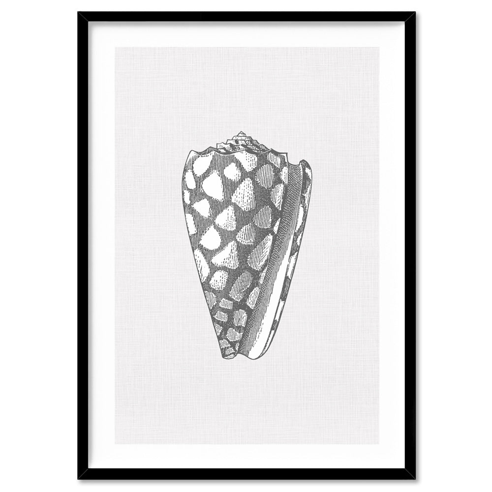 Sea Shells in Grey | Cone Shell - Art Print, Poster, Stretched Canvas, or Framed Wall Art Print, shown in a black frame
