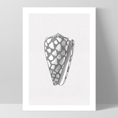 Sea Shells in Grey | Cone Shell - Art Print, Poster, Stretched Canvas, or Framed Wall Art Print, shown as a stretched canvas or poster without a frame