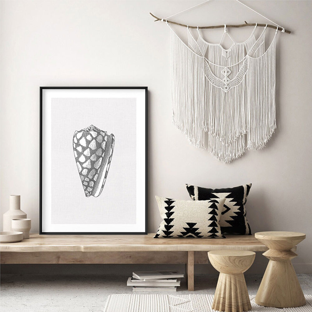 Sea Shells in Grey | Cone Shell - Art Print, Poster, Stretched Canvas or Framed Wall Art Prints, shown framed in a room