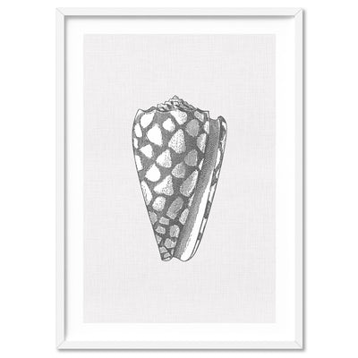 Sea Shells in Grey | Cone Shell - Art Print, Poster, Stretched Canvas, or Framed Wall Art Print, shown in a white frame