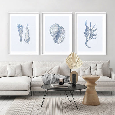 Sea Shells in Blue | Auger Shells - Art Print, Poster, Stretched Canvas or Framed Wall Art, shown framed in a home interior space
