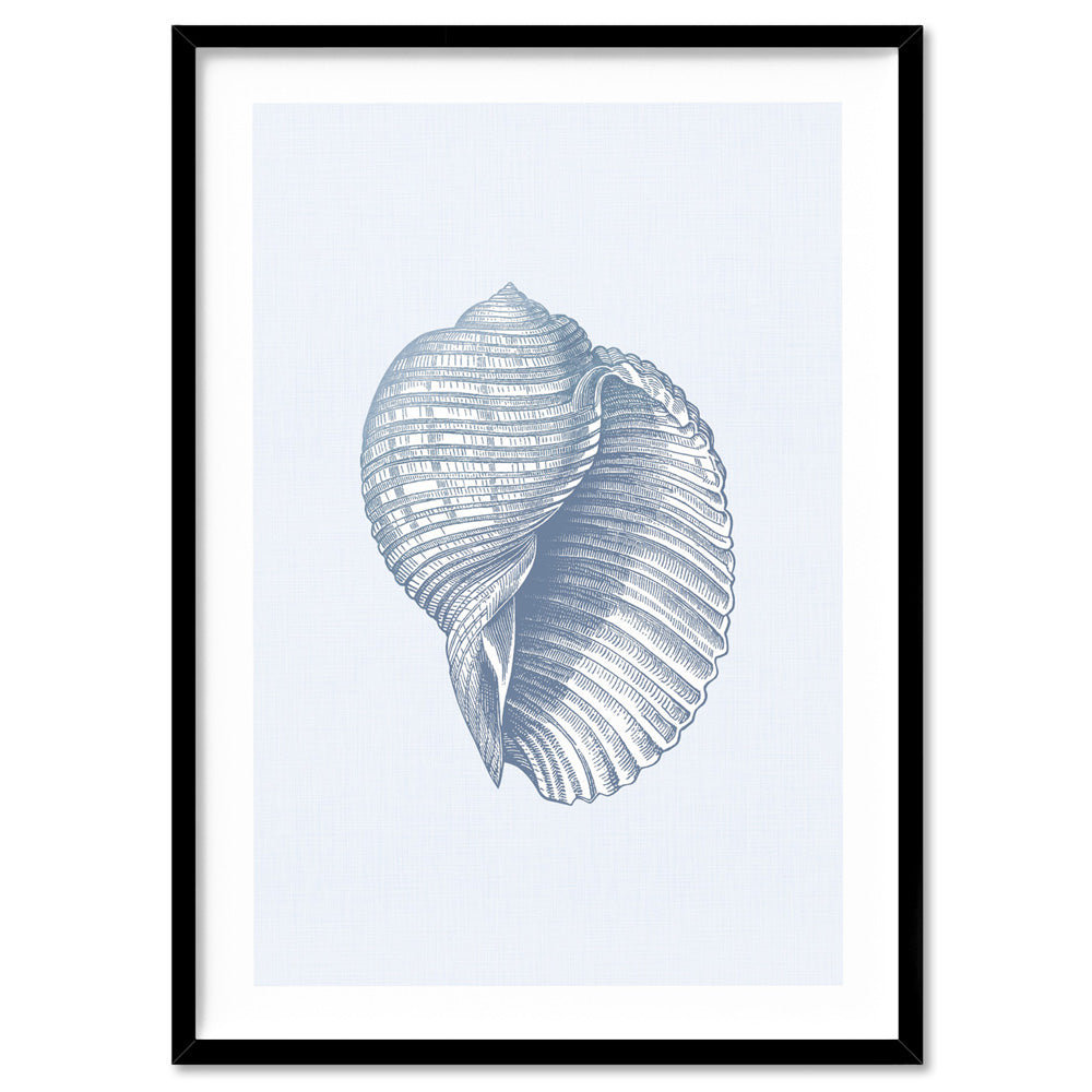 Sea Shells in Blue | Scotch Bonnet - Art Print, Poster, Stretched Canvas, or Framed Wall Art Print, shown in a black frame