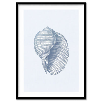 Sea Shells in Blue | Scotch Bonnet - Art Print, Poster, Stretched Canvas, or Framed Wall Art Print, shown in a black frame