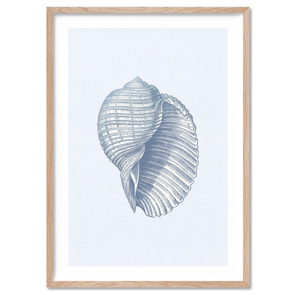 Sea Shells in Blue | Scotch Bonnet - Art Print, Poster, Stretched Canvas, or Framed Wall Art Print, shown in a natural timber frame