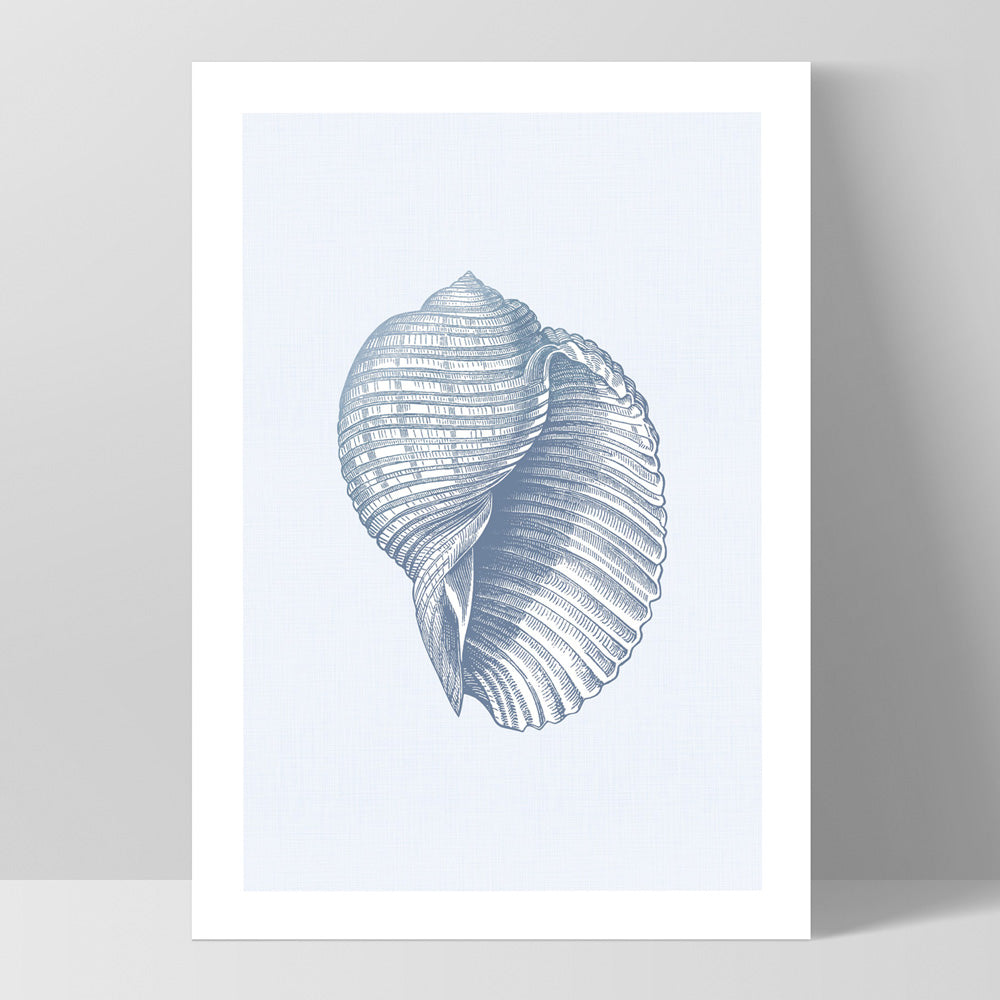 Sea Shells in Blue | Scotch Bonnet - Art Print, Poster, Stretched Canvas, or Framed Wall Art Print, shown as a stretched canvas or poster without a frame
