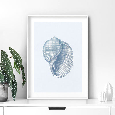 Sea Shells in Blue | Scotch Bonnet - Art Print, Poster, Stretched Canvas or Framed Wall Art Prints, shown framed in a room