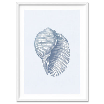 Sea Shells in Blue | Scotch Bonnet - Art Print, Poster, Stretched Canvas, or Framed Wall Art Print, shown in a white frame