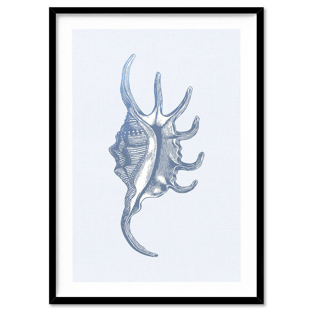 Sea Shells in Blue | Spider Conch - Art Print, Poster, Stretched Canvas, or Framed Wall Art Print, shown in a black frame