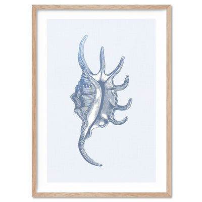 Sea Shells in Blue | Spider Conch - Art Print, Poster, Stretched Canvas, or Framed Wall Art Print, shown in a natural timber frame