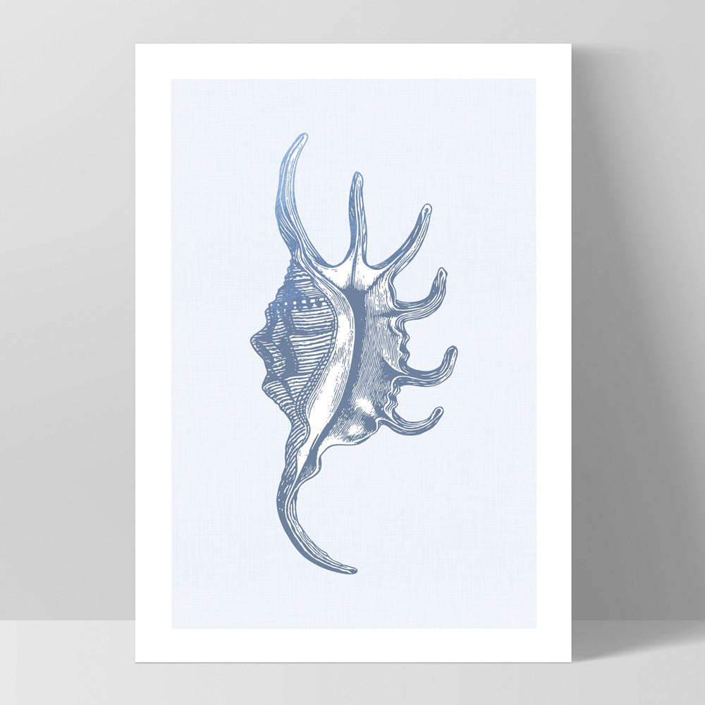 Sea Shells in Blue | Spider Conch - Art Print, Poster, Stretched Canvas, or Framed Wall Art Print, shown as a stretched canvas or poster without a frame