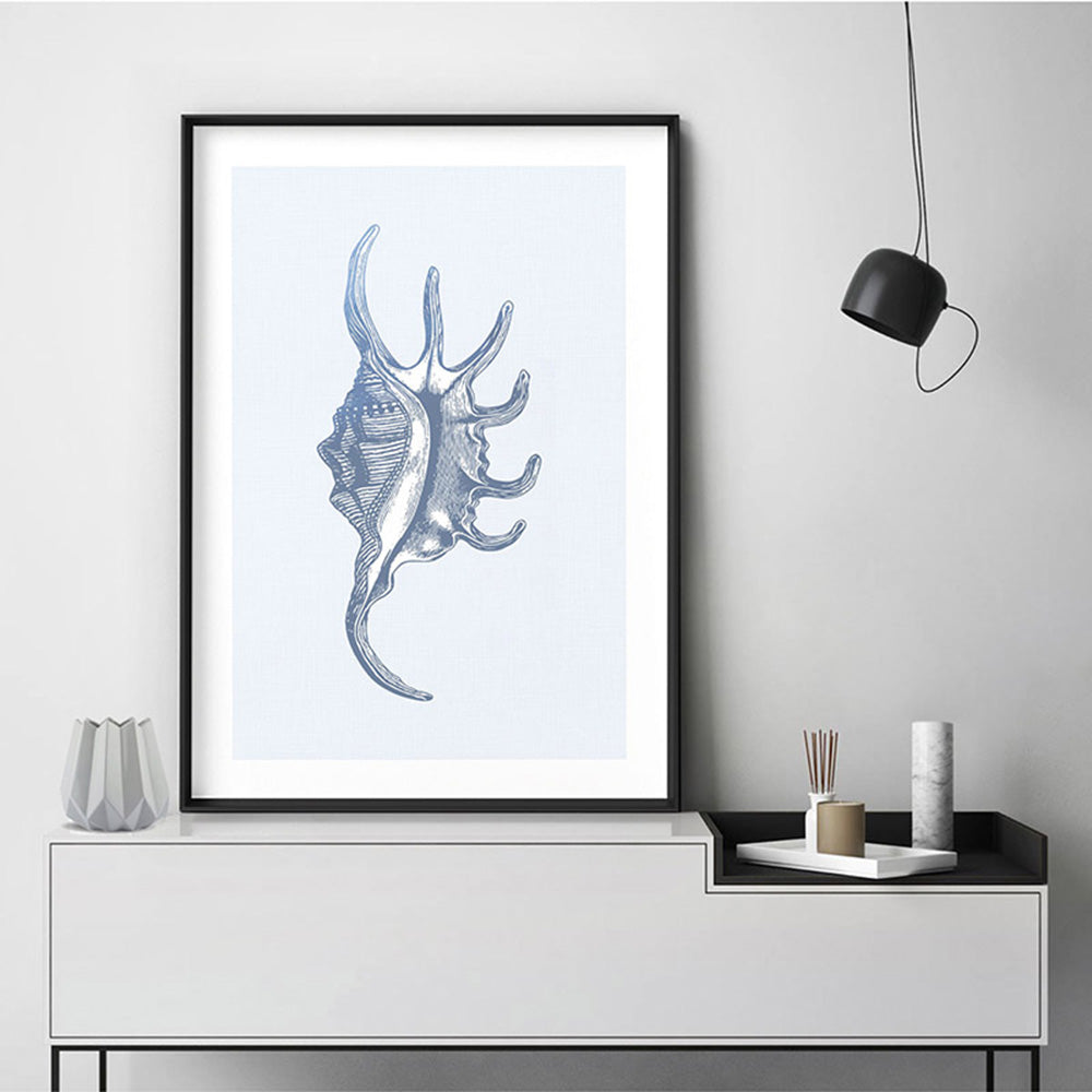 Sea Shells in Blue | Spider Conch - Art Print, Poster, Stretched Canvas or Framed Wall Art Prints, shown framed in a room