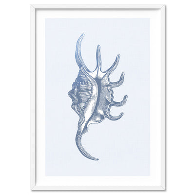 Sea Shells in Blue | Spider Conch - Art Print, Poster, Stretched Canvas, or Framed Wall Art Print, shown in a white frame