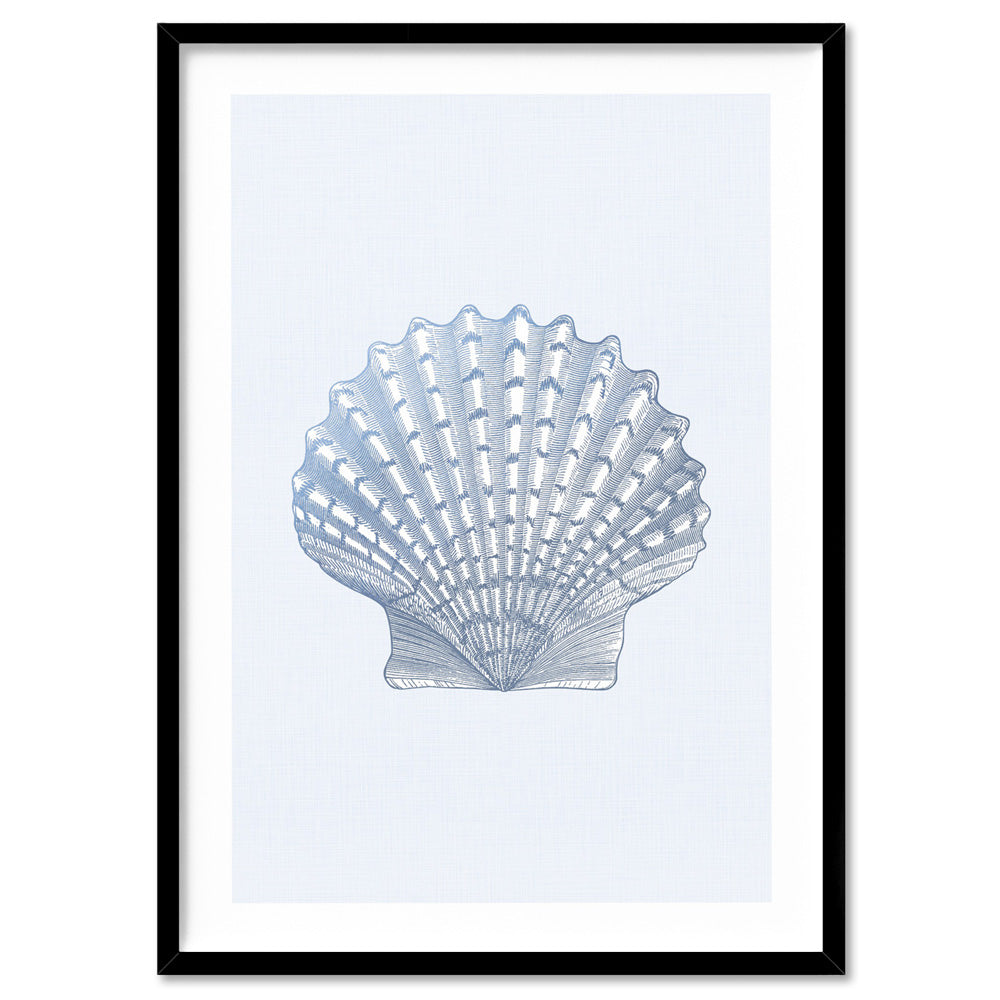 Sea Shells in Blue | Lions Paw Scallop - Art Print, Poster, Stretched Canvas, or Framed Wall Art Print, shown in a black frame
