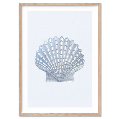 Sea Shells in Blue | Lions Paw Scallop - Art Print, Poster, Stretched Canvas, or Framed Wall Art Print, shown in a natural timber frame