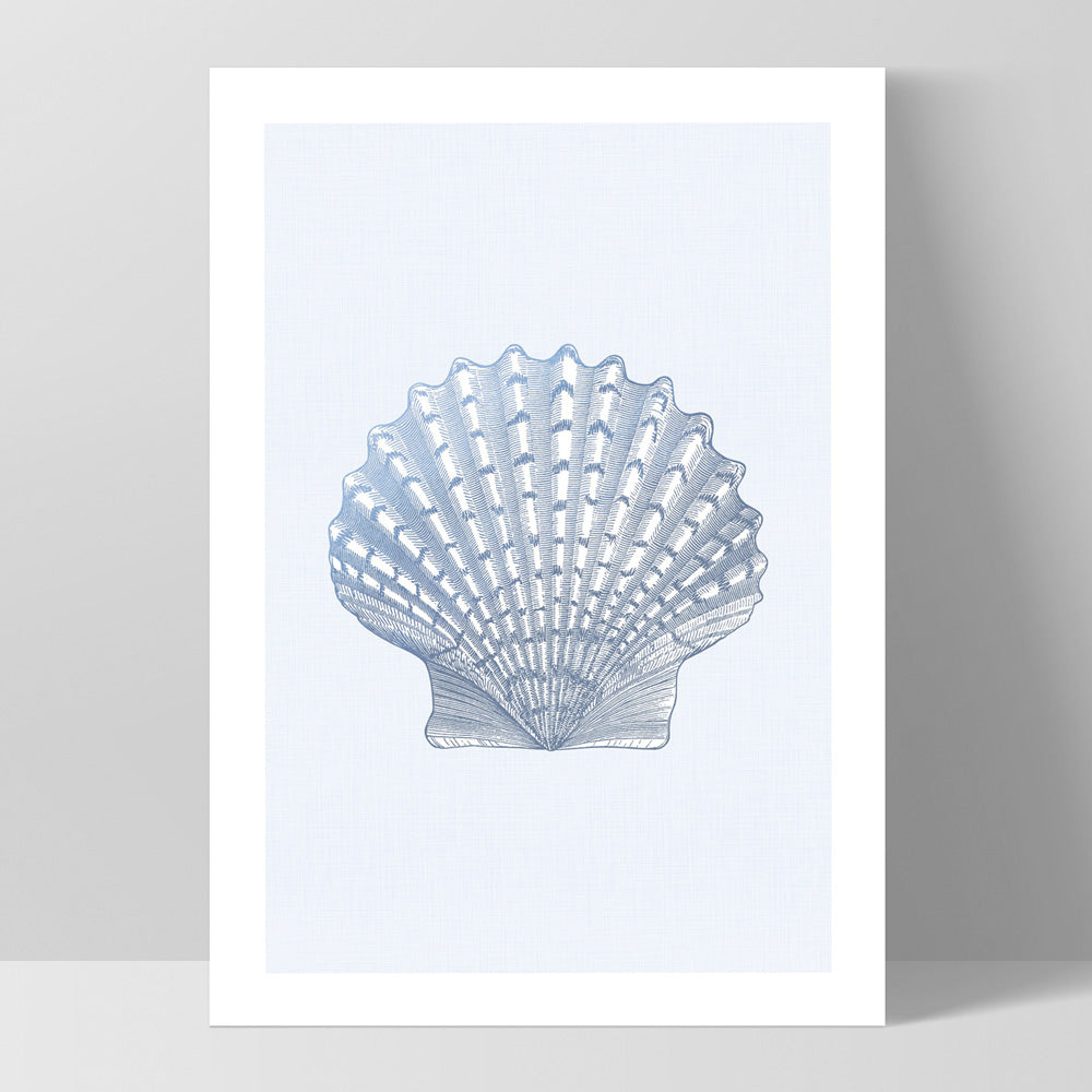 Sea Shells in Blue | Lions Paw Scallop - Art Print, Poster, Stretched Canvas, or Framed Wall Art Print, shown as a stretched canvas or poster without a frame