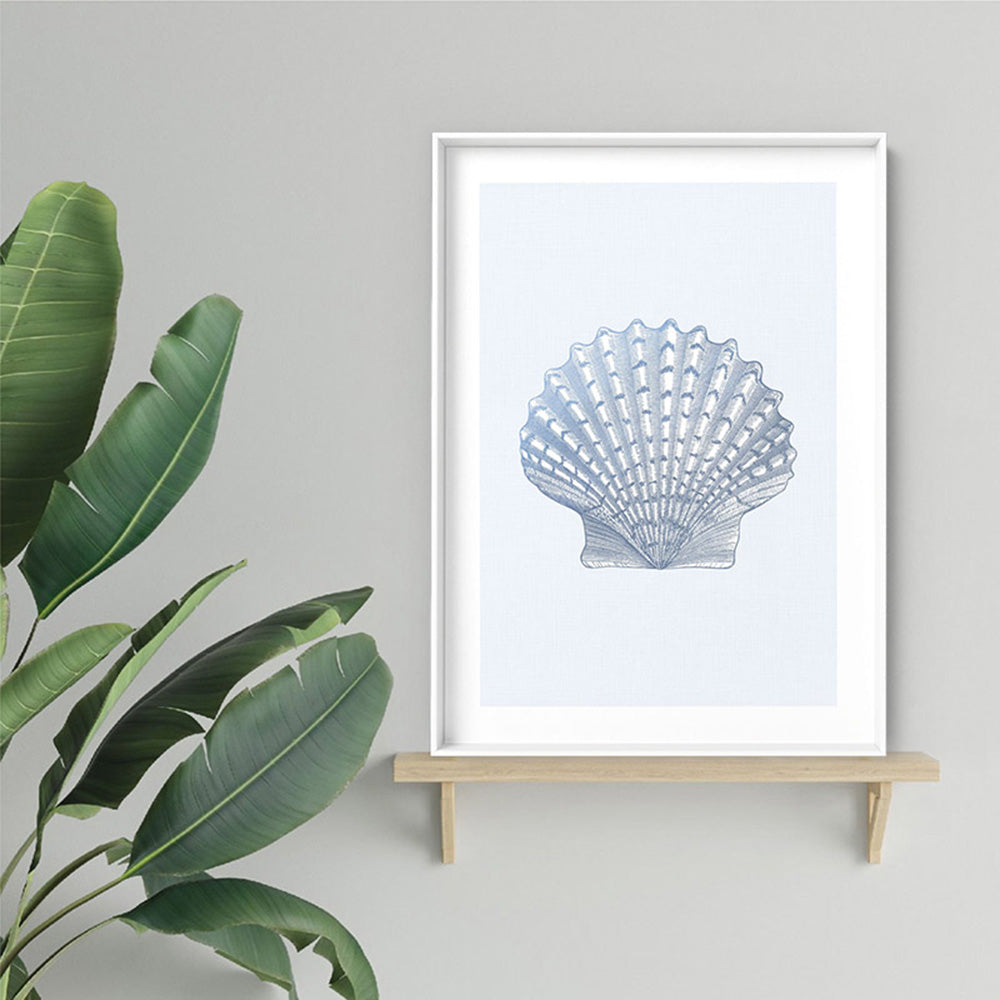 Sea Shells in Blue | Lions Paw Scallop - Art Print, Poster, Stretched Canvas or Framed Wall Art Prints, shown framed in a room
