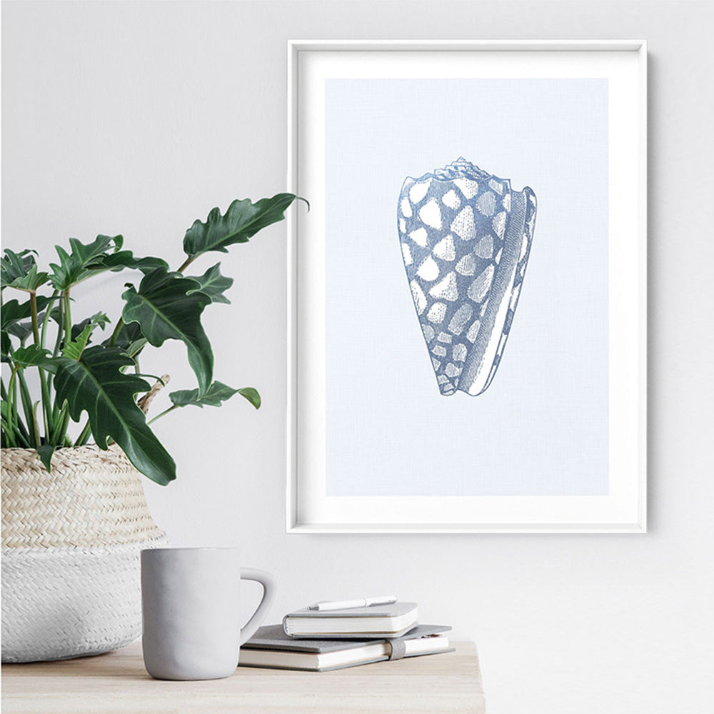 Sea Shells in Blue | Cone  Shell - Art Print, Poster, Stretched Canvas or Framed Wall Art Prints, shown framed in a room