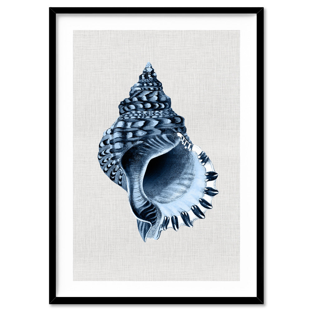 Sea Shells in Navy | Conch Shell - Art Print, Poster, Stretched Canvas, or Framed Wall Art Print, shown in a black frame