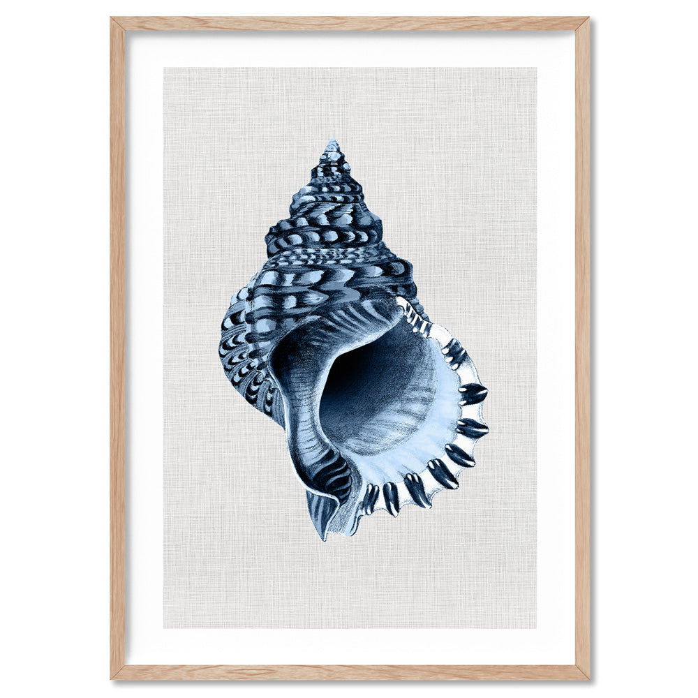 Sea Shells in Navy | Conch Shell - Art Print, Poster, Stretched Canvas, or Framed Wall Art Print, shown in a natural timber frame