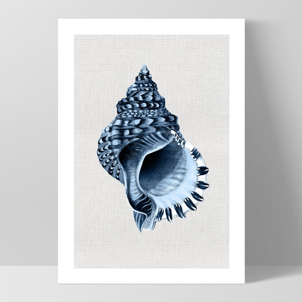 Sea Shells in Navy | Conch Shell - Art Print, Poster, Stretched Canvas, or Framed Wall Art Print, shown as a stretched canvas or poster without a frame