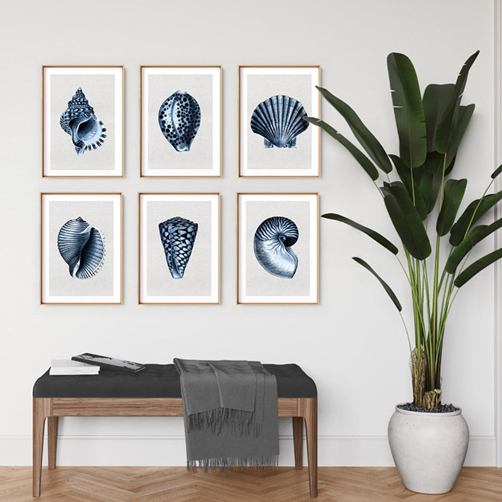 Sea Shells in Navy | Conch Shell - Art Print, Poster, Stretched Canvas or Framed Wall Art, shown framed in a home interior space