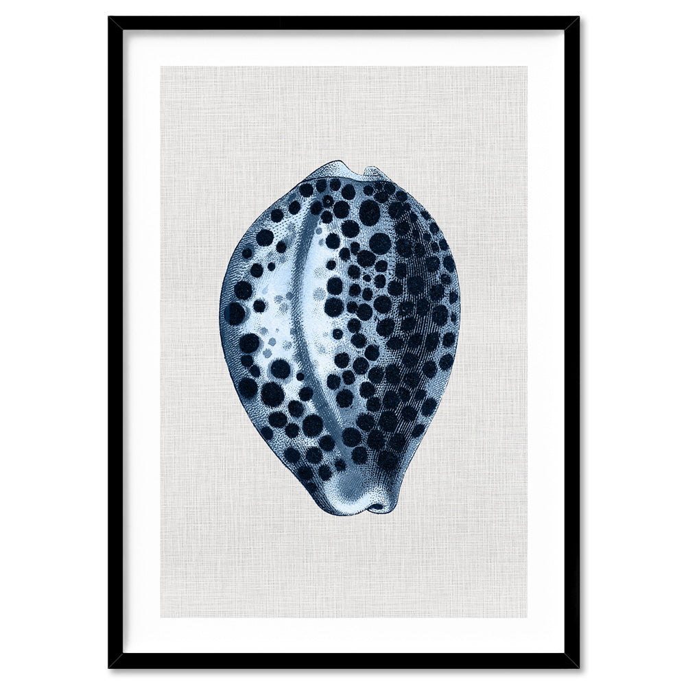 Sea Shells in Navy | Paua Shell - Art Print, Poster, Stretched Canvas, or Framed Wall Art Print, shown in a black frame
