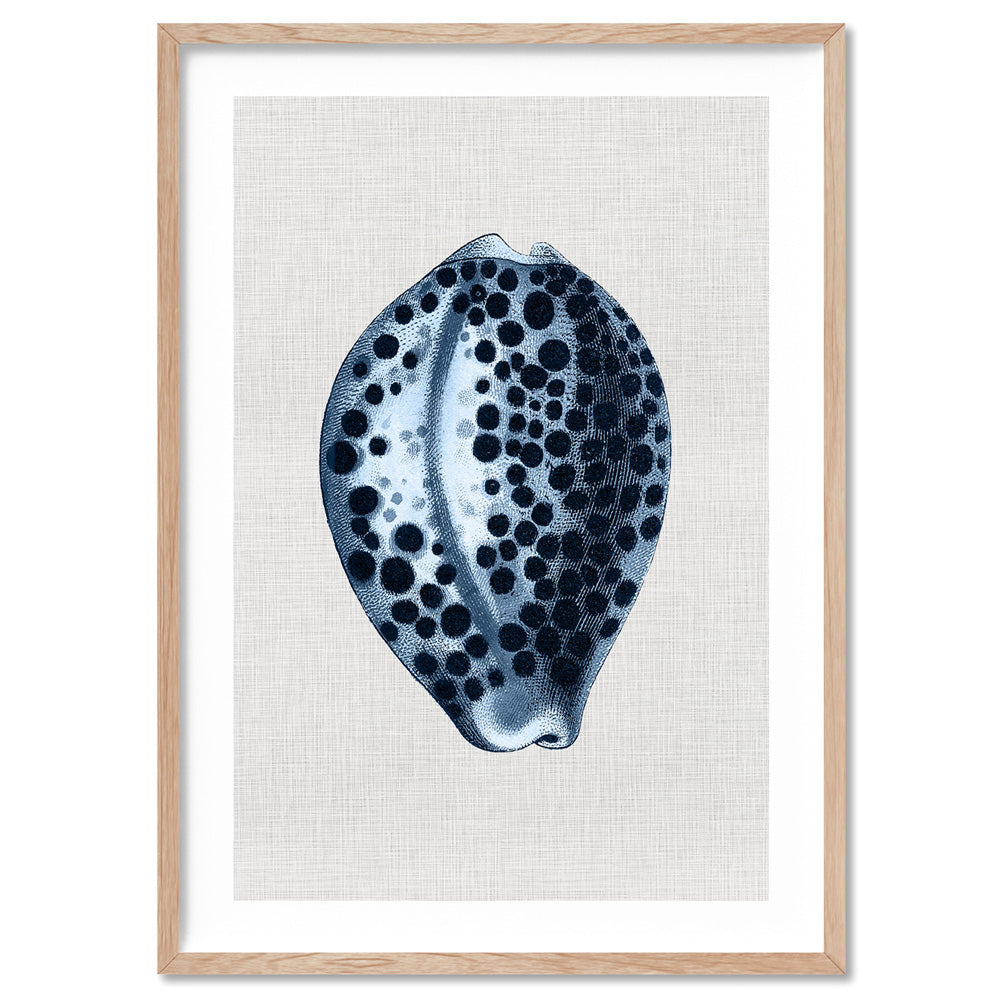 Sea Shells in Navy | Paua Shell - Art Print, Poster, Stretched Canvas, or Framed Wall Art Print, shown in a natural timber frame