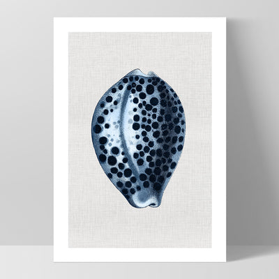 Sea Shells in Navy | Paua Shell - Art Print, Poster, Stretched Canvas, or Framed Wall Art Print, shown as a stretched canvas or poster without a frame