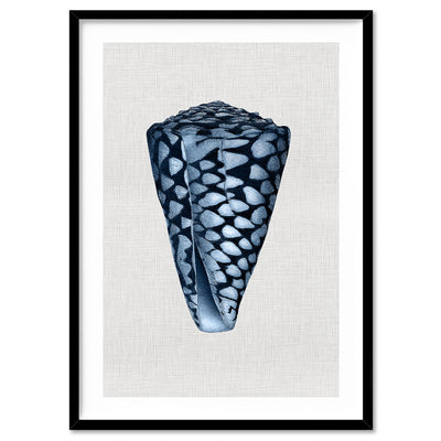 Sea Shells in Navy | Conus Shell - Art Print, Poster, Stretched Canvas, or Framed Wall Art Print, shown in a black frame