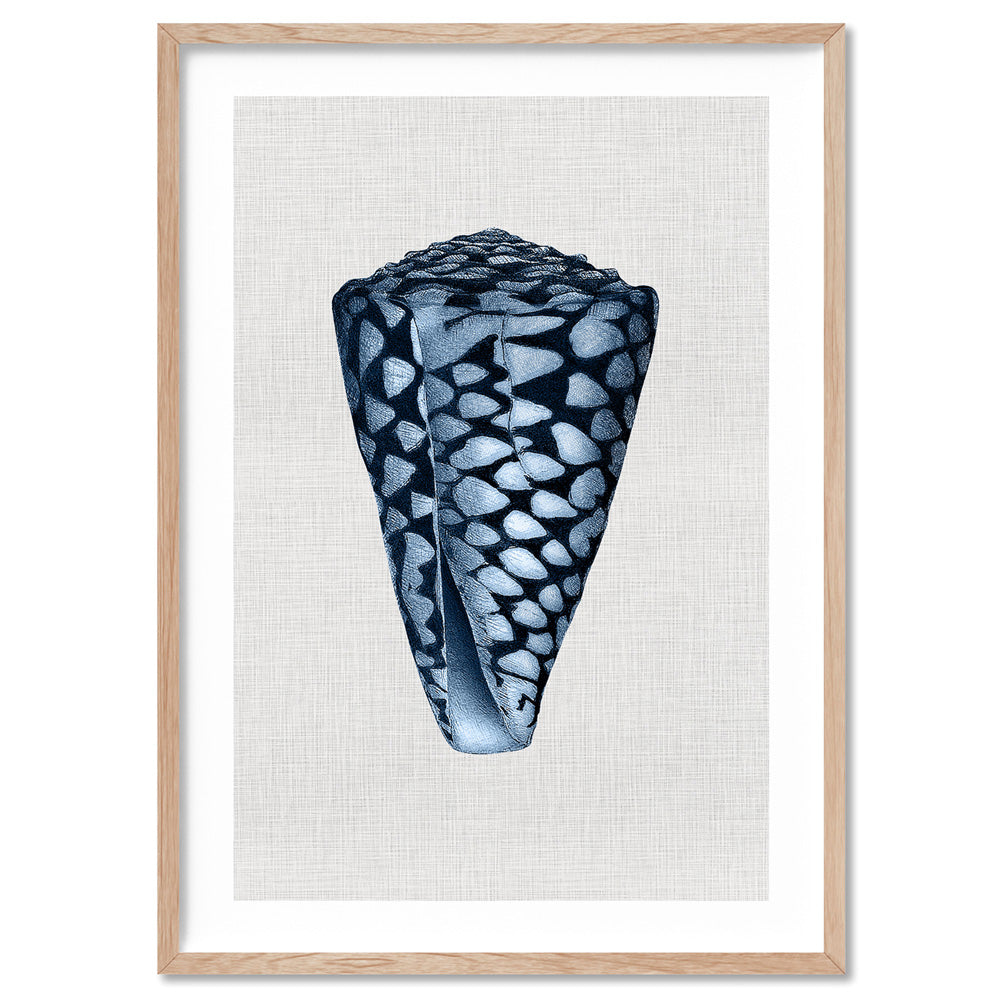 Sea Shells in Navy | Conus Shell - Art Print, Poster, Stretched Canvas, or Framed Wall Art Print, shown in a natural timber frame