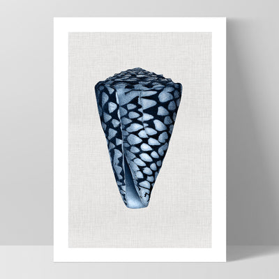 Sea Shells in Navy | Conus Shell - Art Print, Poster, Stretched Canvas, or Framed Wall Art Print, shown as a stretched canvas or poster without a frame