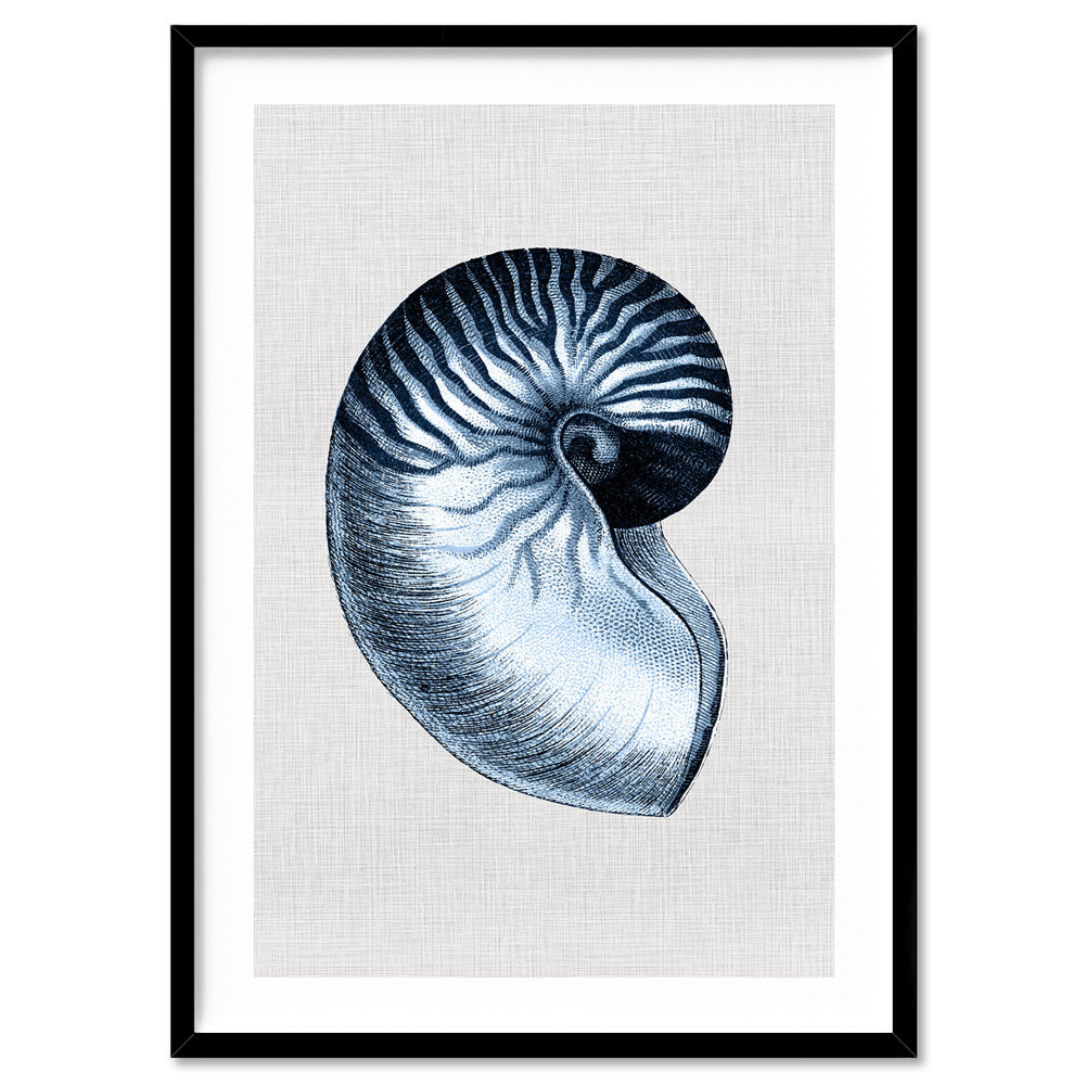 Sea Shells in Navy | Nautilus Shell - Art Print, Poster, Stretched Canvas, or Framed Wall Art Print, shown in a black frame