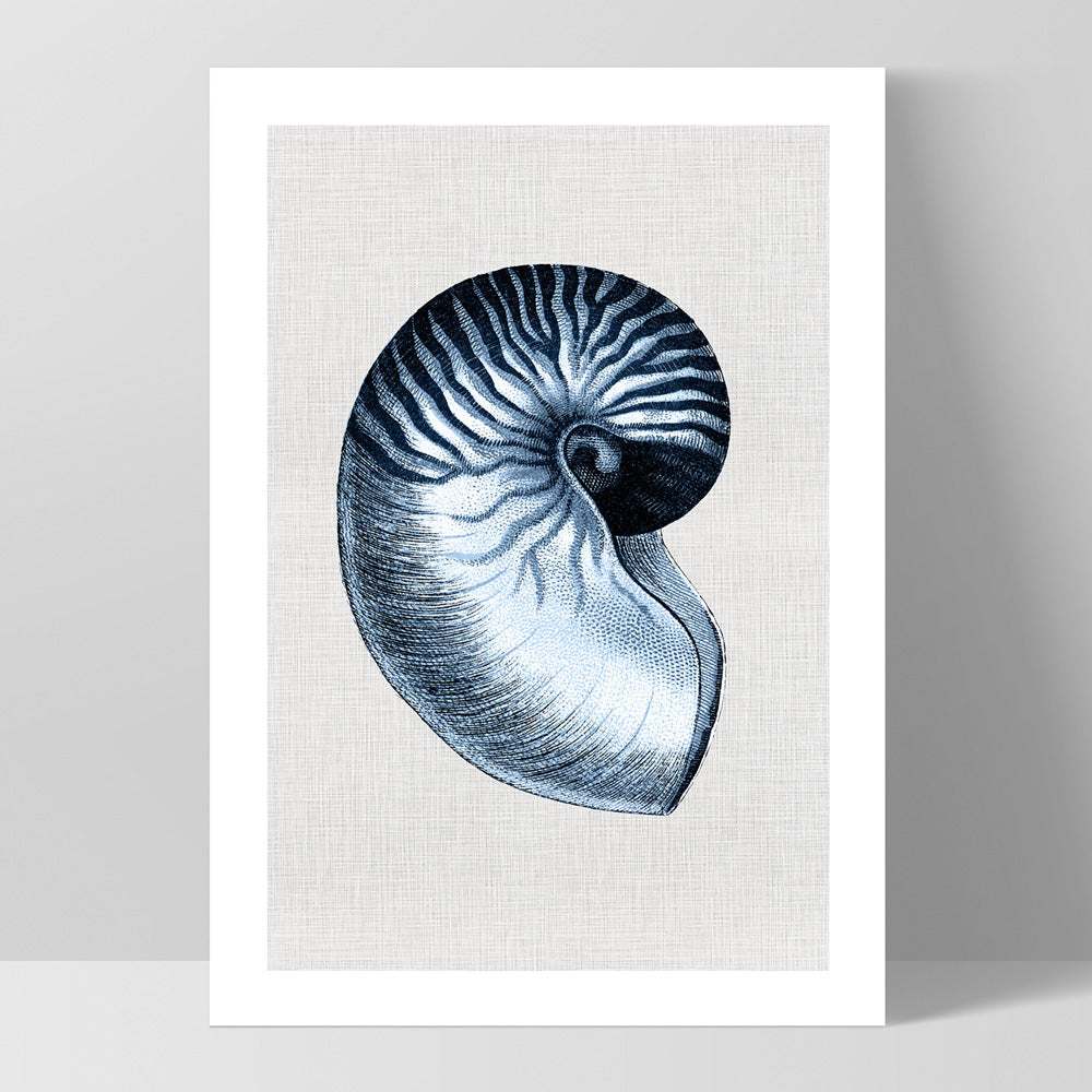 Sea Shells in Navy | Nautilus Shell - Art Print, Poster, Stretched Canvas, or Framed Wall Art Print, shown as a stretched canvas or poster without a frame