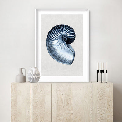 Sea Shells in Navy | Nautilus Shell - Art Print, Poster, Stretched Canvas or Framed Wall Art Prints, shown framed in a room