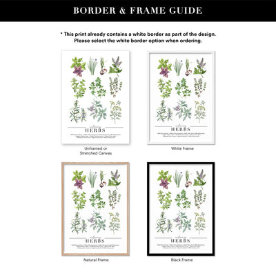 Culinary Herbs Chart - Art Print, Poster, Stretched Canvas or Framed Wall Art, Showing White , Black, Natural Frame Colours, No Frame (Unframed) or Stretched Canvas, and With or Without White Borders