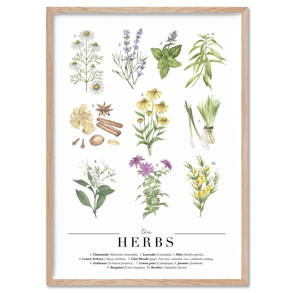 Tea Herbs Chart - Art Print, Poster, Stretched Canvas, or Framed Wall Art Print, shown in a natural timber frame