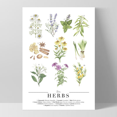 Tea Herbs Chart - Art Print, Poster, Stretched Canvas, or Framed Wall Art Print, shown as a stretched canvas or poster without a frame