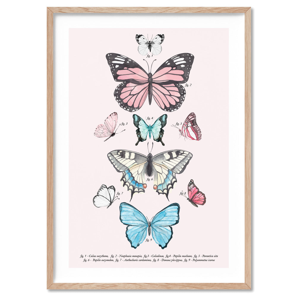 Pastel Boho Butterfly Chart - Art Print, Poster, Stretched Canvas, or Framed Wall Art Print, shown in a natural timber frame