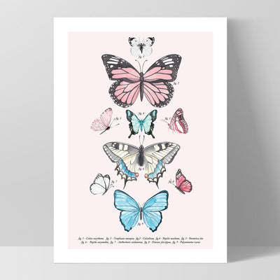 Pastel Boho Butterfly Chart - Art Print, Poster, Stretched Canvas, or Framed Wall Art Print, shown as a stretched canvas or poster without a frame