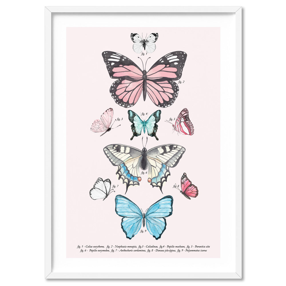 Pastel Boho Butterfly Chart - Art Print, Poster, Stretched Canvas, or Framed Wall Art Print, shown in a white frame