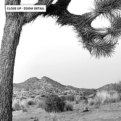 Joshua Tree Desert Landscape Black and White - Art Print, Poster, Stretched Canvas or Framed Wall Art, Close up View of Print Resolution