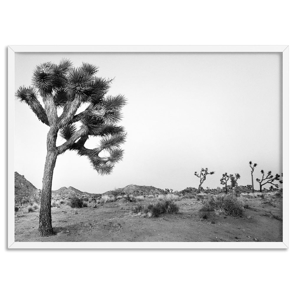 Joshua Tree Desert Landscape Black and White - Art Print, Poster, Stretched Canvas, or Framed Wall Art Print, shown in a white frame