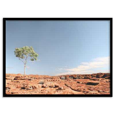 Lone Gumtree Outback View I - Art Print, Poster, Stretched Canvas, or Framed Wall Art Print, shown in a black frame