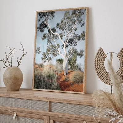 Ghost Gum on Red Earth - Art Print, Poster, Stretched Canvas or Framed Wall Art Prints, shown framed in a room