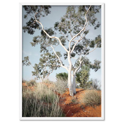 Ghost Gum on Red Earth - Art Print, Poster, Stretched Canvas, or Framed Wall Art Print, shown in a white frame