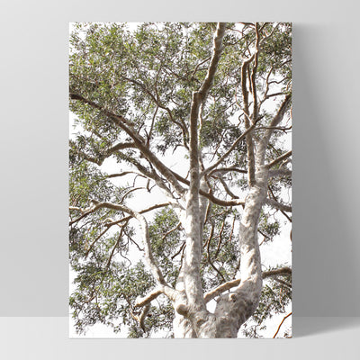 Gumtrees View II - Art Print, Poster, Stretched Canvas, or Framed Wall Art Print, shown as a stretched canvas or poster without a frame