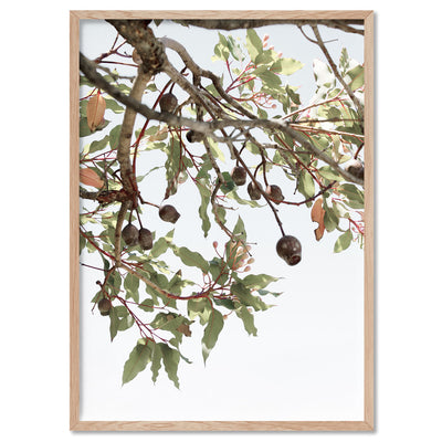 Leaves & Gumnuts - Art Print, Poster, Stretched Canvas, or Framed Wall Art Print, shown in a natural timber frame