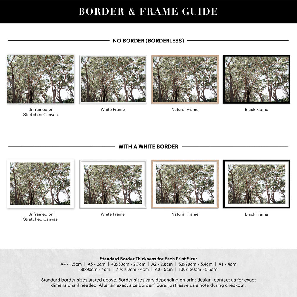 Among the Gumtrees II - Art Print, Poster, Stretched Canvas or Framed Wall Art, Showing White , Black, Natural Frame Colours, No Frame (Unframed) or Stretched Canvas, and With or Without White Borders