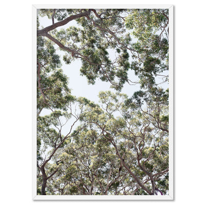 Gumtrees View III - Art Print, Poster, Stretched Canvas, or Framed Wall Art Print, shown in a white frame